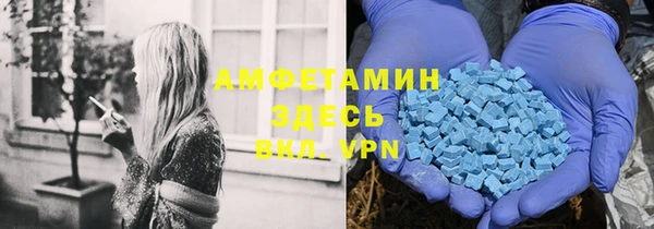 индика Горняк