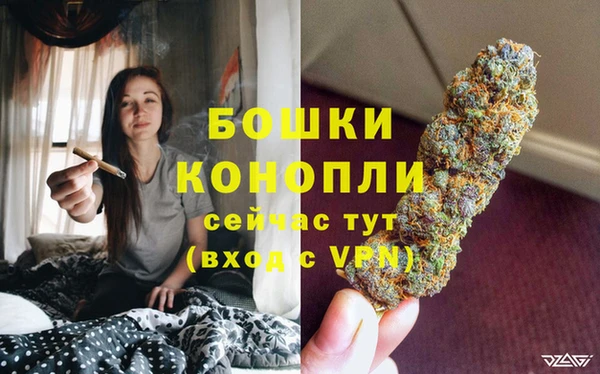 индика Горняк