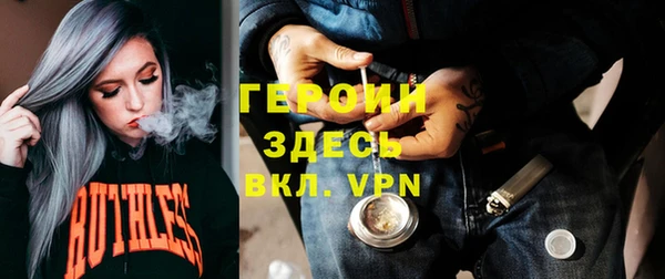 индика Горняк