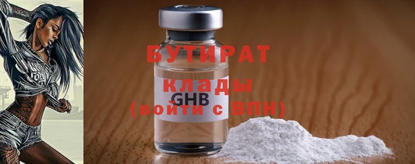 индика Горняк