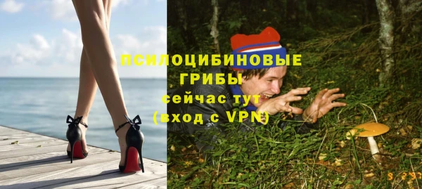 индика Горняк