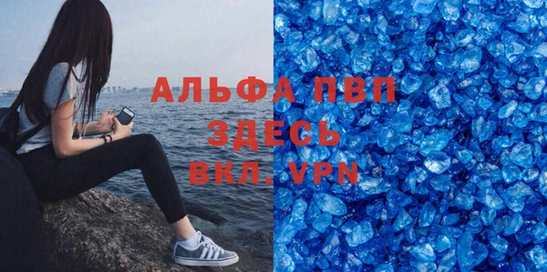 индика Горняк
